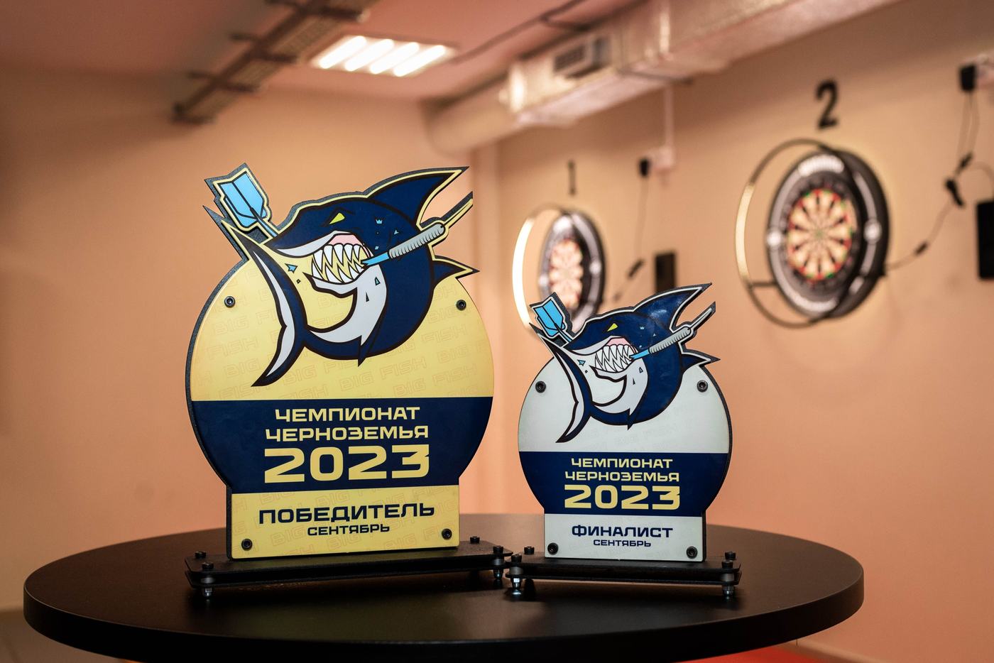Кубки. Чемпионат Черноземья 2023
